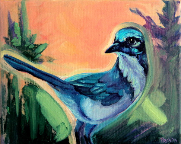 Blue Bird by Katerina Pravda