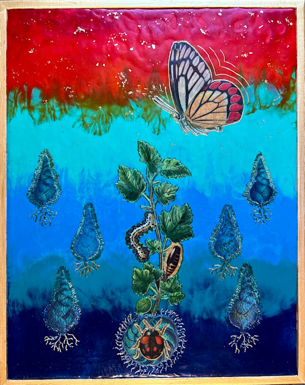 Transfiguration by Debbie Mathew