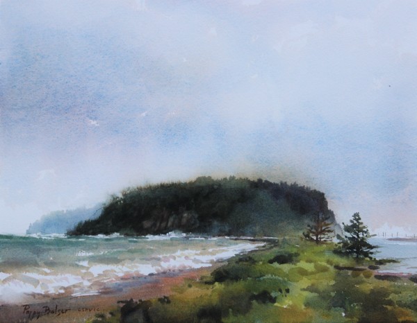 Wind and Waves at Partridge Island by Poppy Balser