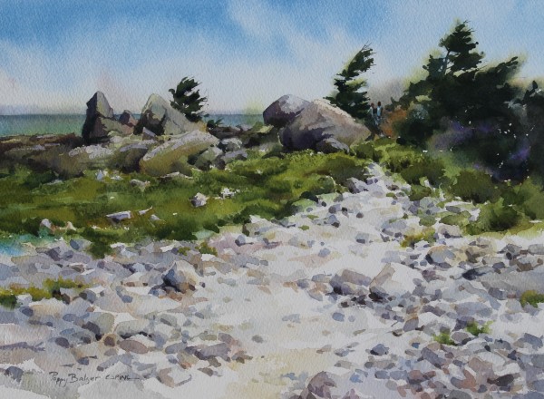 Kejimkujik Seaside Beach Walk by Poppy Balser