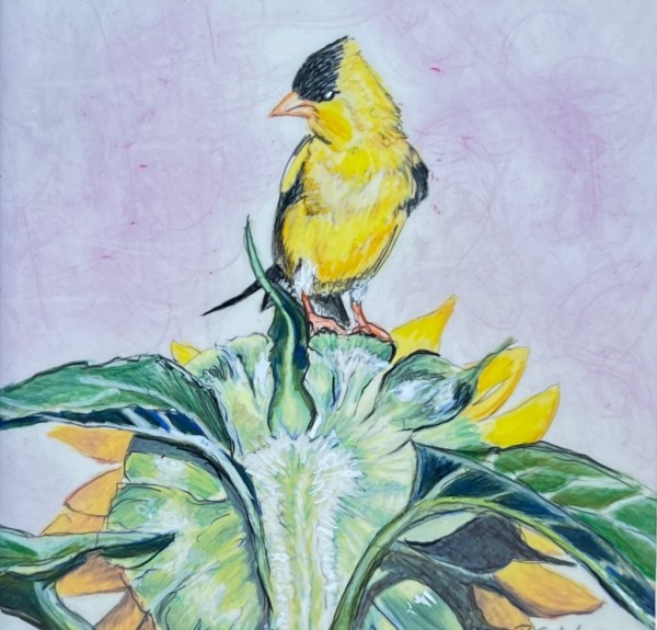Visit with Yellow Finch by Bonnie Schetski