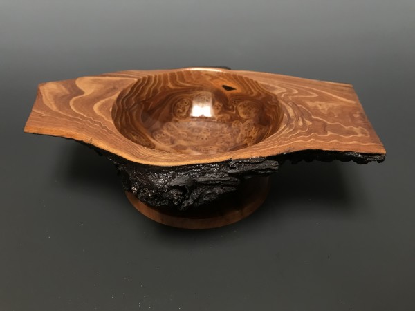 Russian Olive Burl by John Andrew