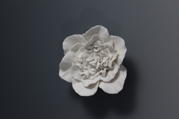 Small Porcelain Peony by Carla Potter