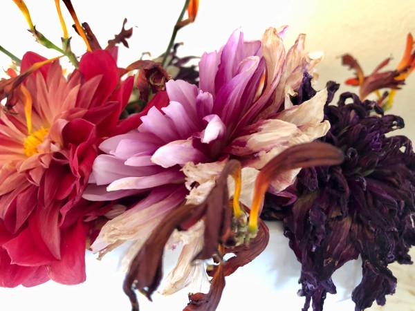 Bouquet by Bonnie Lambert
