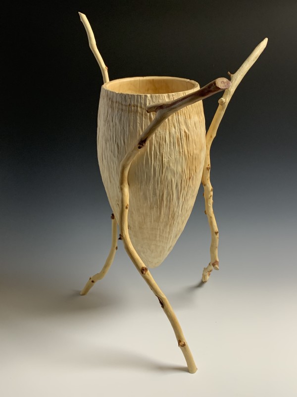 Nature in Motion by Boyd Carson