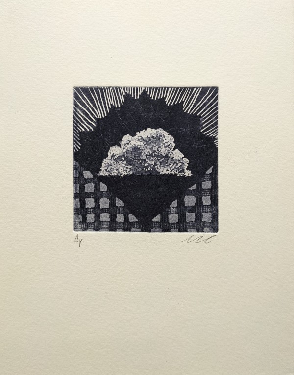 Plaid Cloud by Muriel Condon