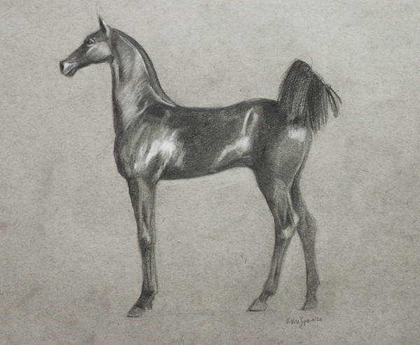 Horse Nr.2 by Kristine Skipsna