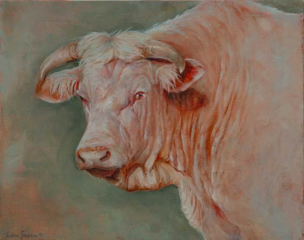 The Bull by Kristine Skipsna