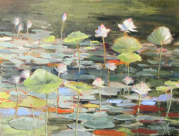 Summer Lotus by Brenda Boylan
