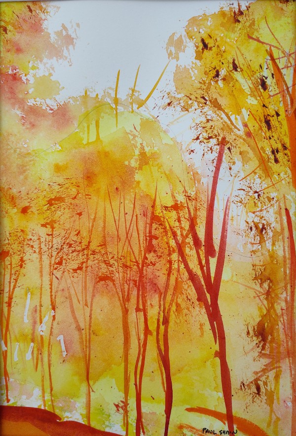 Autumn Forest by Paul Shain