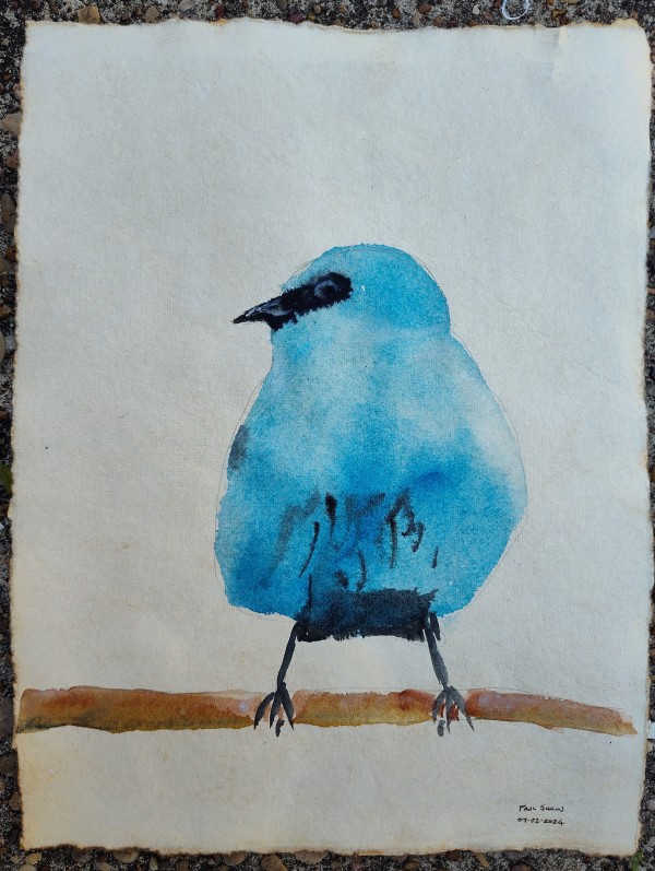 Verditer Flycatcher I by Paul Shain