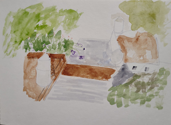 Flowers near hotel by Paul Shain