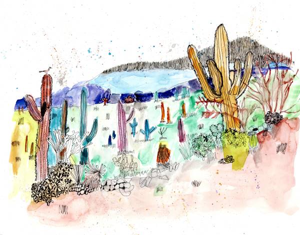 Lost in the Saguaros by Paul Shain