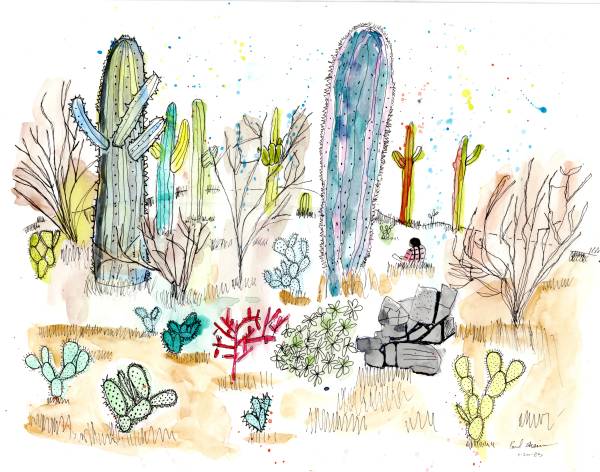 Saguaros by Paul Shain