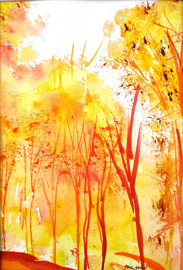 Note card: Autumn Forest by Paul Shain