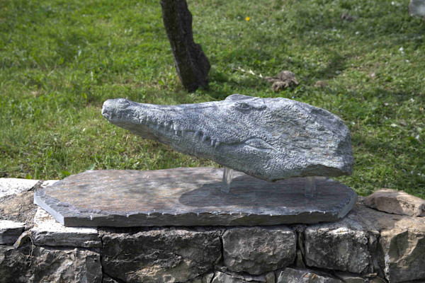 Head of a crocodile by Martin van Vlokhoven