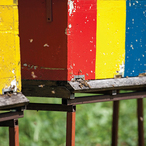 Apiary / čebelnjak by Žiga Korent