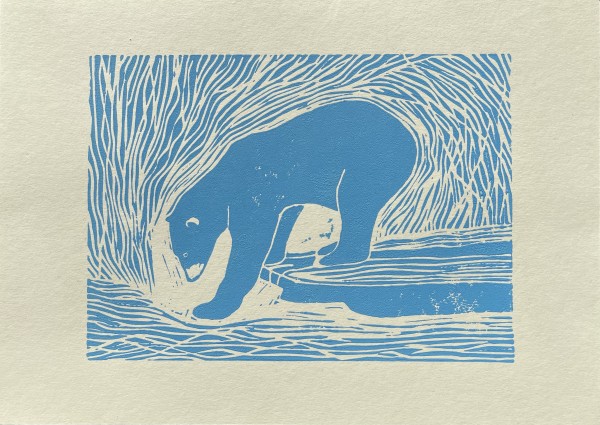 Bear / medved by Žiga Korent