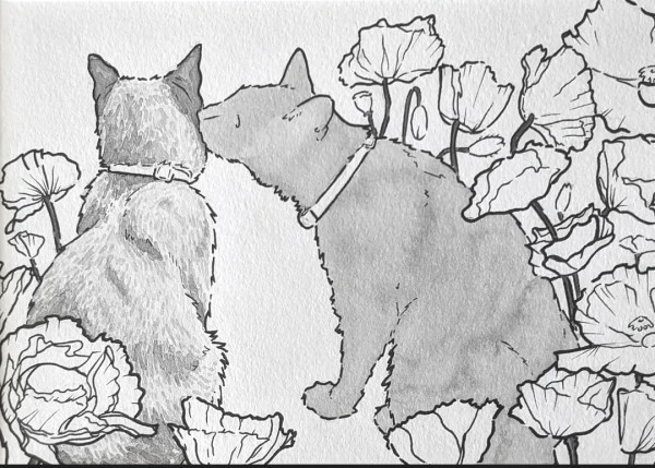 Kissing Cats by Lex R. Thomas