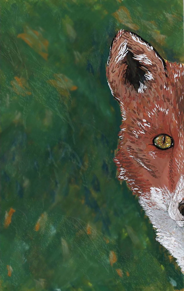 Fox in the Woods by Anja Marie Peyfuss