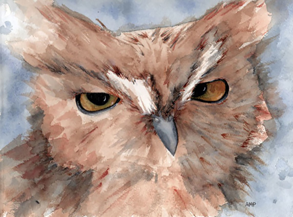 Great Horned Owl by Anja Marie Peyfuss