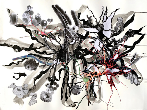 Brains 0876 by Julie Harrison, Image 1.