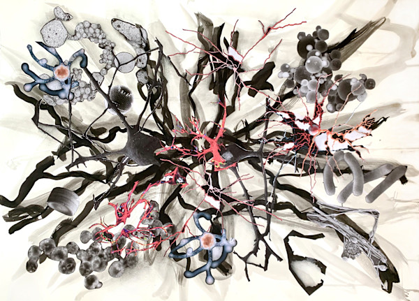 Brains 0959 by Julie Harrison, Image 1.