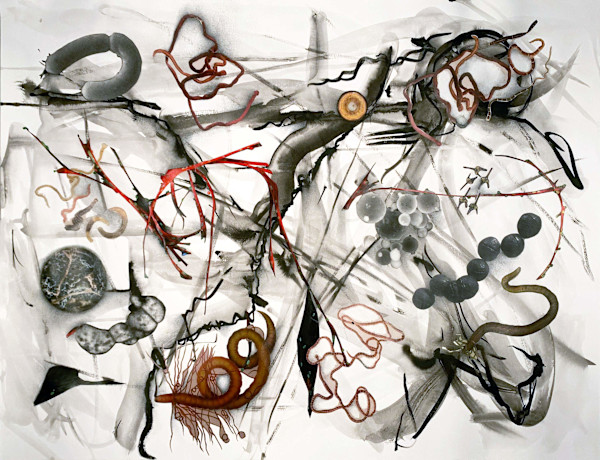 Brains 1374 by Julie Harrison, Image 1.