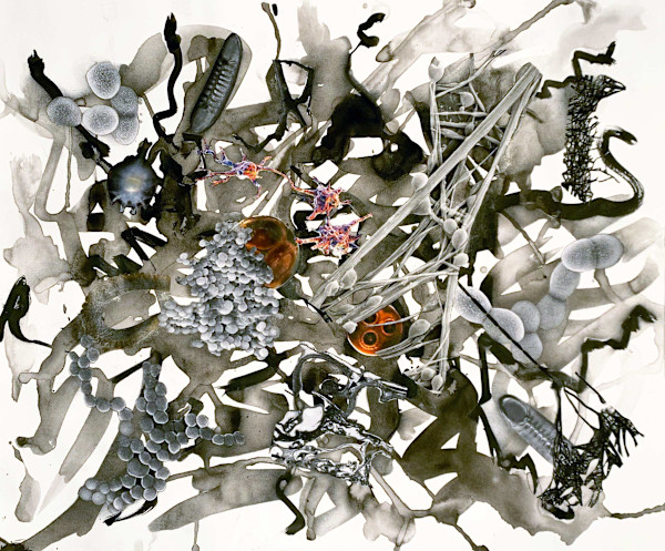 Brains 2348 by Julie Harrison, Image 1.