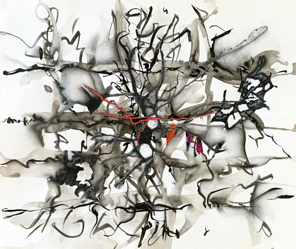 Brains 2598 by Julie Harrison, Image 1.