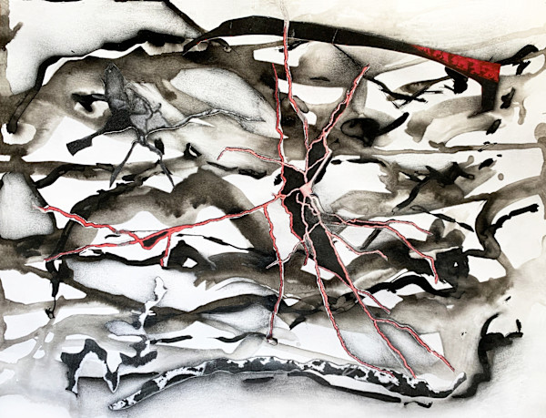 Brains 3850 by Julie Harrison, Image 1.