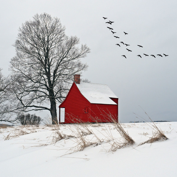 Neilson Farm by David Fingerhut