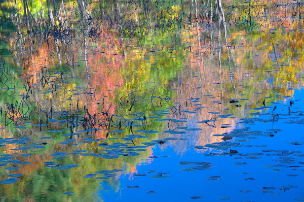 Reflections on Jenny Lake by Gary Larsen