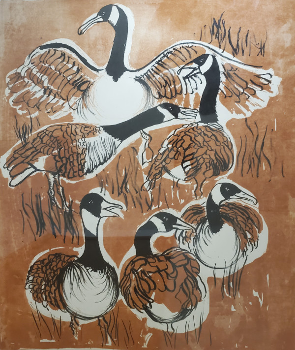 Canadian Geese by Audrey Jacobson