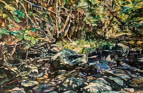 Boulder Brook Tributary by Betty O'Brien