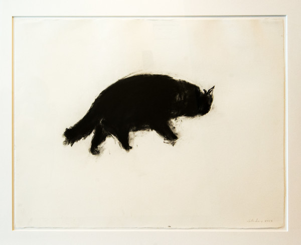 Black Cat by Bruno Laverdier