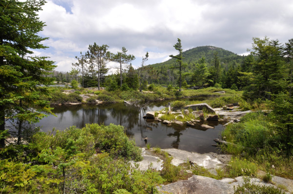 Crane Mountain Pond by Dan Way