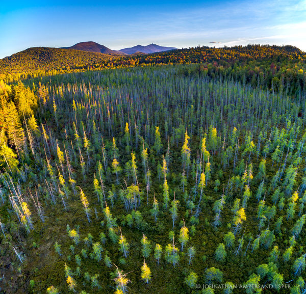 Silver Lake Bog Forest “Last Light” Facing Whiteface Mountain by Johnathan Esper