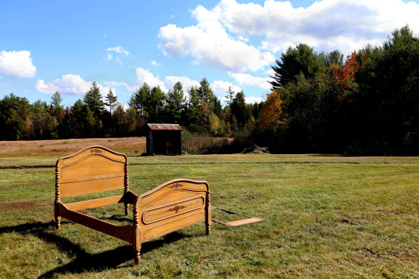 Bed in Field by Laura Seldman