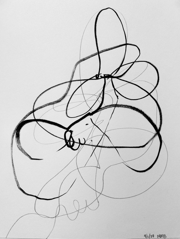 Wire and it’s shadow III by Melissa McDonough-Borden