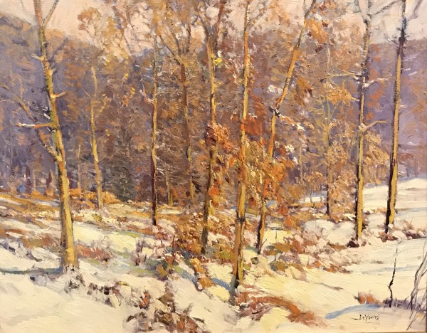 Winters Salute to Texas/Texas Hill Country Winter 1944 by Harry Anthony DeYoung