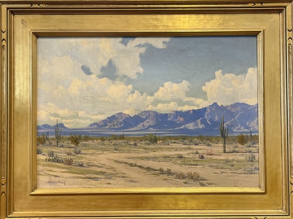 Catalena Mountain Arizona by Harry Wagoner