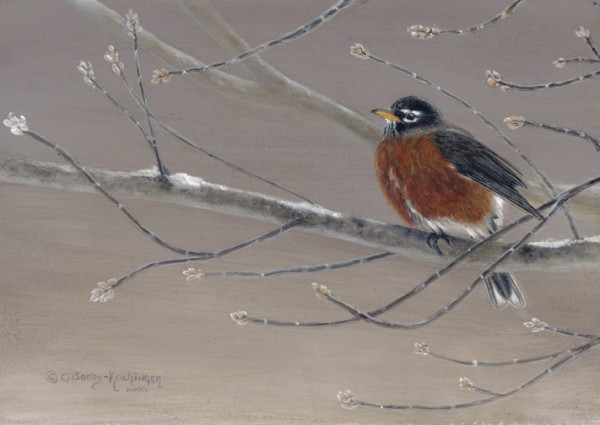 Early Bird by Cindy Sorley-Keichinger