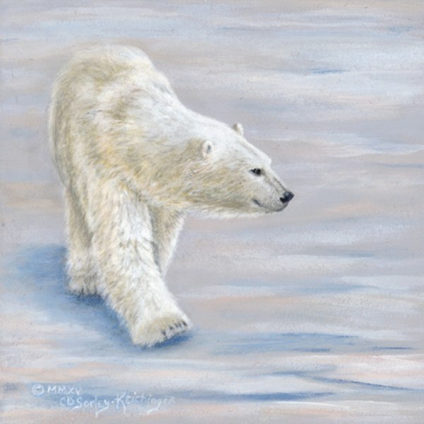 Polar Stroll by Cindy Sorley-Keichinger