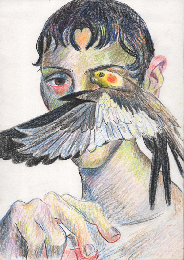 Bird Study 4 by Adam Baker, Image 1.