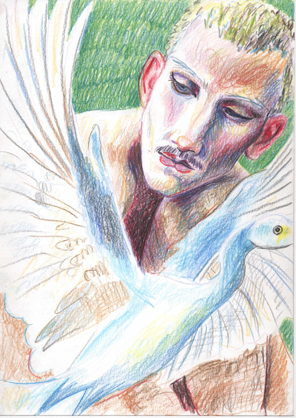Todd Bird Study by Adam Baker, Image 1.