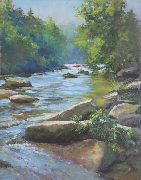 Amicalola River by Marsha Hamby Savage