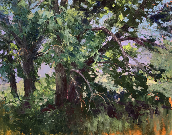 Beauty of Oak Trees by Marsha Hamby Savage
