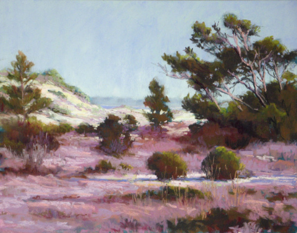Dunes Mystery by Marsha Hamby Savage