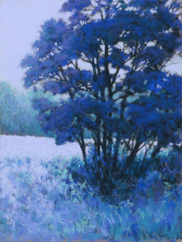 Blue Dogwood by Marsha Hamby Savage